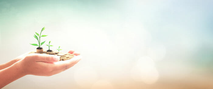 Human hands holding graduated sizes of golden coin stacks and small trees symbolizing small business retirement savings